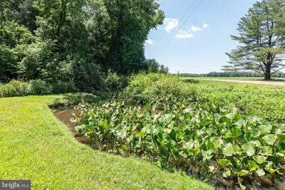 4657 Maiden Forest Road, Rhodesdale, MD 21659 - Photo 20