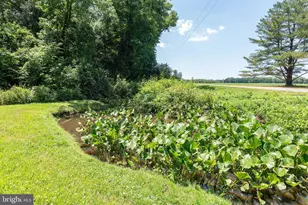 4657 Maiden Forest Rd, Rhodesdale, MD 21659 - Photo 20
