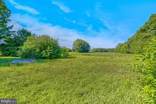 5863 Sharptown, Rhodesdale, MD 21659 - Photo 22