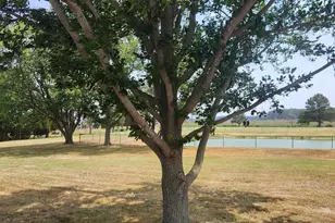 [Address not provided], Taylors Island, MD 21669 - Photo 24