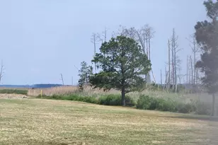 [Address not provided], Taylors Island, MD 21669 - Photo 32