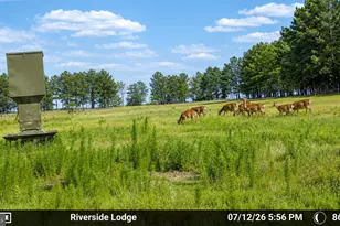 1713 Doeller Rd, Fishing Creek, MD 21634 - Photo 94