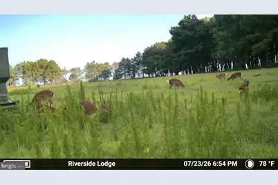 1713 Doeller Road, Fishing Creek, MD 21634 - Photo 110