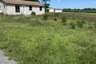 5146 Rhodesdale Vienna Rd, Vienna, MD 21869 - Photo 2