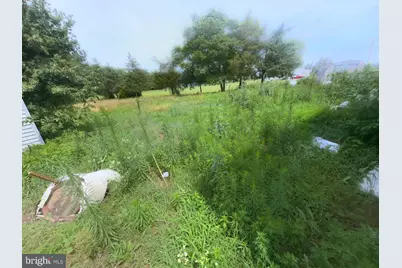 5134 Rhodesdale Vienna Road, Vienna, MD 21869 - Photo 38