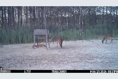 2243 Wingate Bishops Head Road, Wingate, MD 21675 - Photo 64