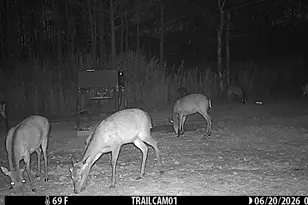 2243 Wingate Bishops Head Rd, Wingate, MD 21675 - Photo 68