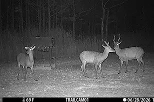 2243 Wingate Bishops Head Rd, Wingate, MD 21675 - Photo 48