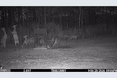 2243 Wingate Bishops Head Road, Wingate, MD 21675 - Photo 70