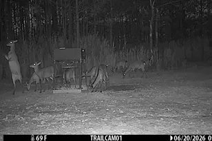 2243 Wingate Bishops Head Rd, Wingate, MD 21675 - Photo 70