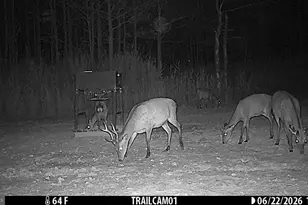 2243 Wingate Bishops Head Rd, Wingate, MD 21675 - Photo 62
