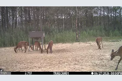 2243 Wingate Bishops Head Road, Wingate, MD 21675 - Photo 50