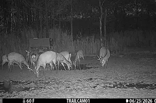 2243 Wingate Bishops Head Rd, Wingate, MD 21675 - Photo 56