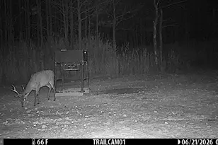 2243 Wingate Bishops Head Rd, Wingate, MD 21675 - Photo 66