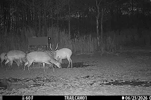2243 Wingate Bishops Head Rd, Wingate, MD 21675 - Photo 58