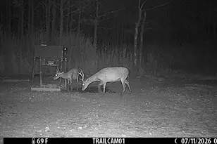 2243 Wingate Bishops Head Rd, Wingate, MD 21675 - Photo 44