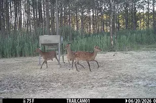 2243 Wingate Bishops Head Rd, Wingate, MD 21675 - Photo 72