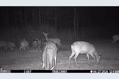 2243 Wingate Bishops Head Road, Wingate, MD 21675 - Photo 52