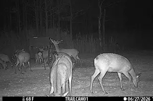 2243 Wingate Bishops Head Rd, Wingate, MD 21675 - Photo 52