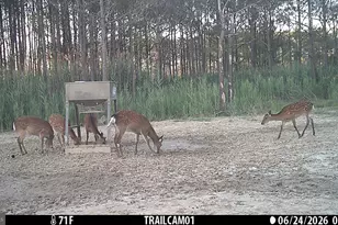 2243 Wingate Bishops Head Rd, Wingate, MD 21675 - Photo 54