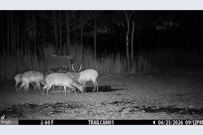 2243 Wingate Bishops Head Road, Wingate, MD 21675 - Photo 10