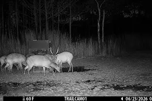 2243 Wingate Bishops Head Rd, Wingate, MD 21675 - Photo 10
