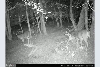 Beaver Neck Village Road, Cambridge, MD 21613 - Photo 46