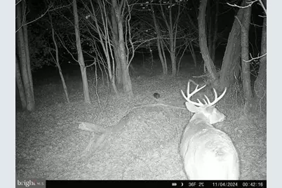 Beaver Neck Village Road, Cambridge, MD 21613 - Photo 50