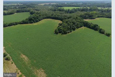Beaver Neck Village Road, Cambridge, MD 21613 - Photo 2