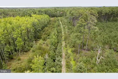 Andrews Road, Crapo, MD 21626 - Photo 18
