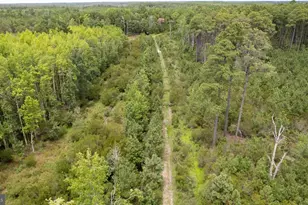 Andrews Rd, Crapo, MD 21626 - Photo 18