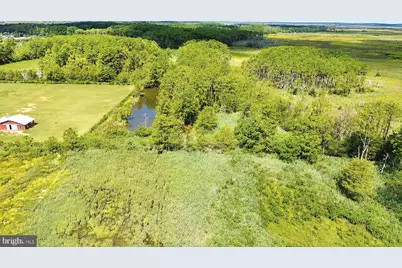 2562 Toddville Road, Toddville, MD 21672 - Photo 22