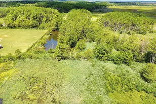 2562 Toddville Rd, Toddville, MD 21672 - Photo 22