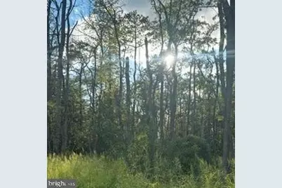 0 Galestown Road, Rhodesdale, MD 21659 - Photo 22