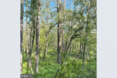 0 Galestown Road, Rhodesdale, MD 21659 - Photo 20