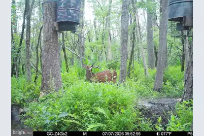 0 Galestown Road, Rhodesdale, MD 21659 - Photo 2