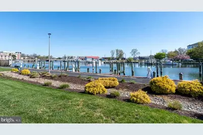 202 Muir Street, Cambridge, MD 21613 - Photo 48