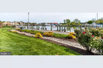 202 Muir Street, Cambridge, MD 21613 - Photo 46