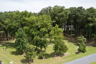 Horns Point Rd, Cambridge, MD 21613 - Photo 4