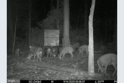 2716 Wesley Church Road, Crapo, MD 21626 - Photo 38