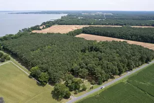 Horns Point Rd, Cambridge, MD 21613 - Photo 2