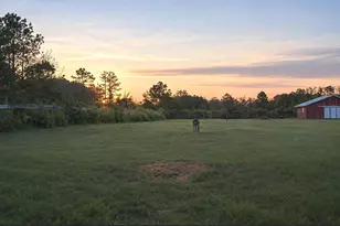 2562 Toddville Rd, Toddville, MD 21672 - Photo 28