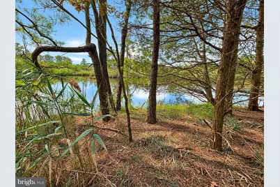 2562 Toddville Road, Toddville, MD 21672 - Photo 38