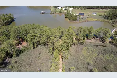 5500 Ross Neck Road, Cambridge, MD 21613 - Photo 4