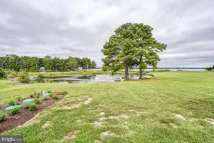 6016 Blue Heron Dr, East New Market, MD 21631 - Photo 56