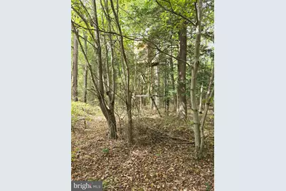 0 Aireys Road, Cambridge, MD 21613 - Photo 14