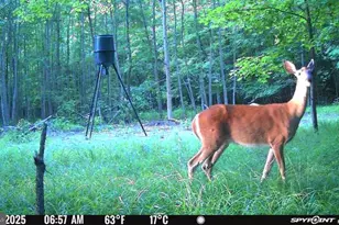 0 Aireys Rd, Cambridge, MD 21613 - Photo 1