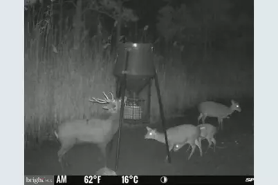 007 Griffith Neck Road, Cambridge, MD 21613 - Photo 14