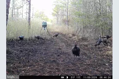 007 Griffith Neck Road, Cambridge, MD 21613 - Photo 112