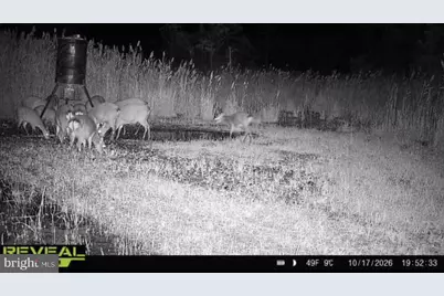 007 Griffith Neck Road, Cambridge, MD 21613 - Photo 120